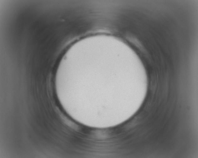 X0000081341404200702082217