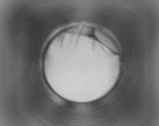 X0000081341416200702082217