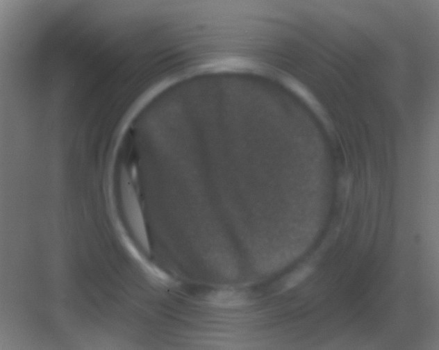 X0000081341418200702082217