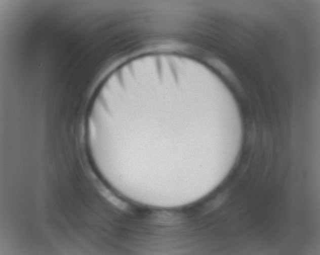 X0000081341420200702082217