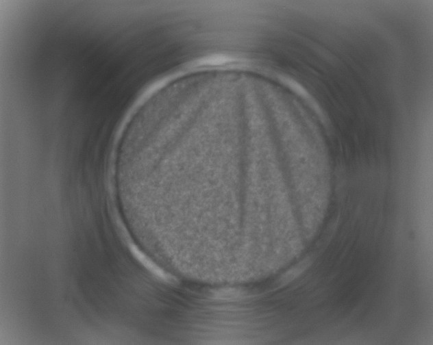 X0000081341421200702082217