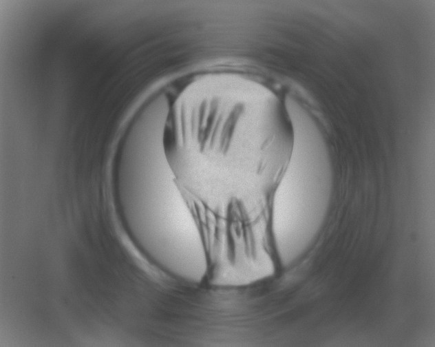 X0000081341422200702082217