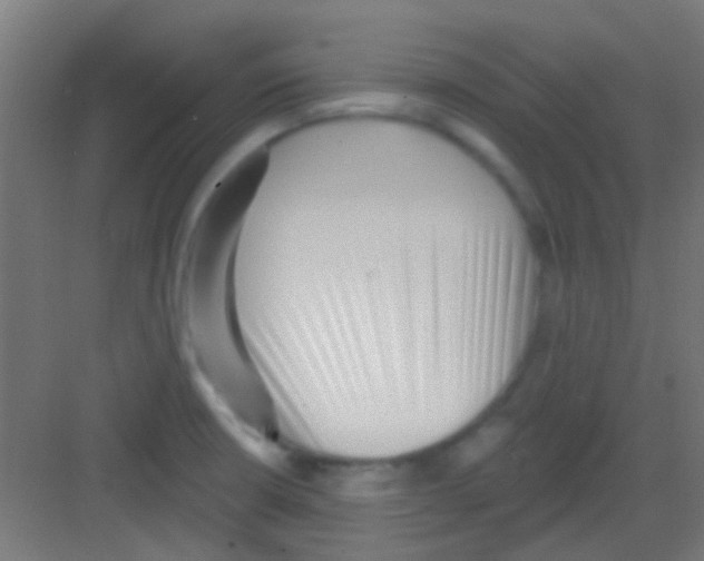 X0000081341426200702082217