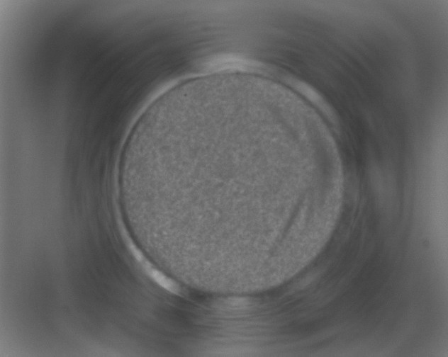 X0000081341431200702082217