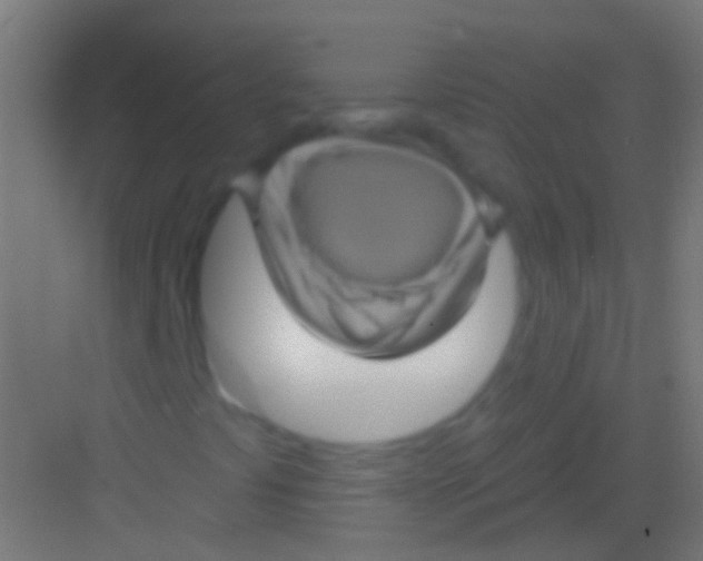 X0000081341441200702082216
