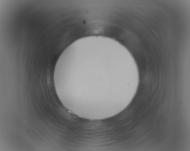 X0000081341442200702082216
