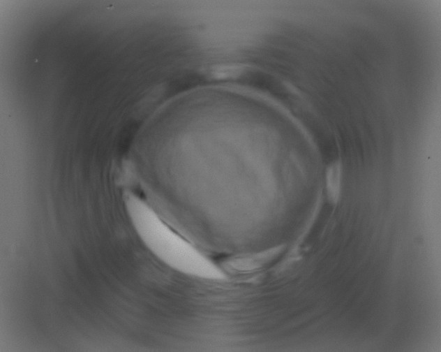 X0000081341443200702082216