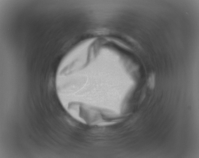 X0000081341444200702082216