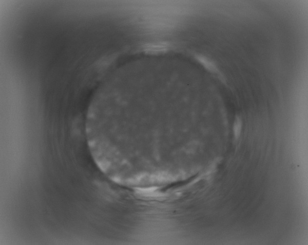 X0000081341445200702082216