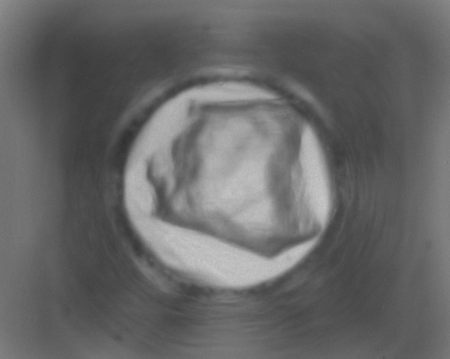 X0000081341448200702082216