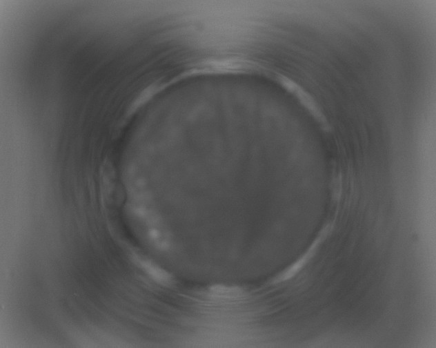 X0000081341449200702082216