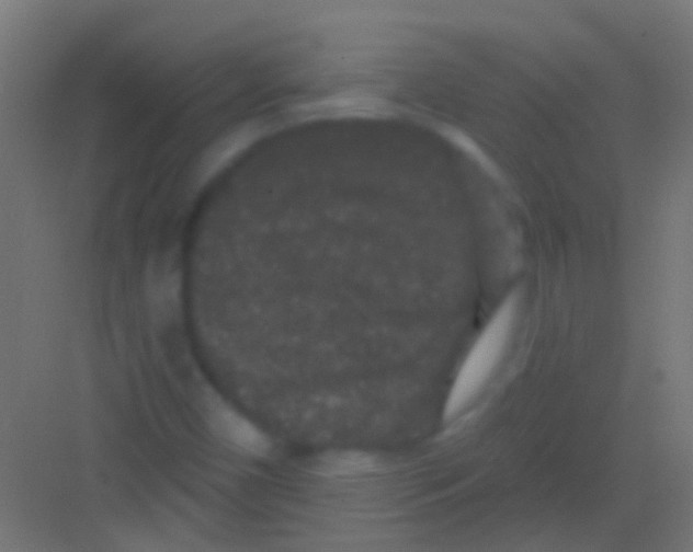 X0000081341450200702082216
