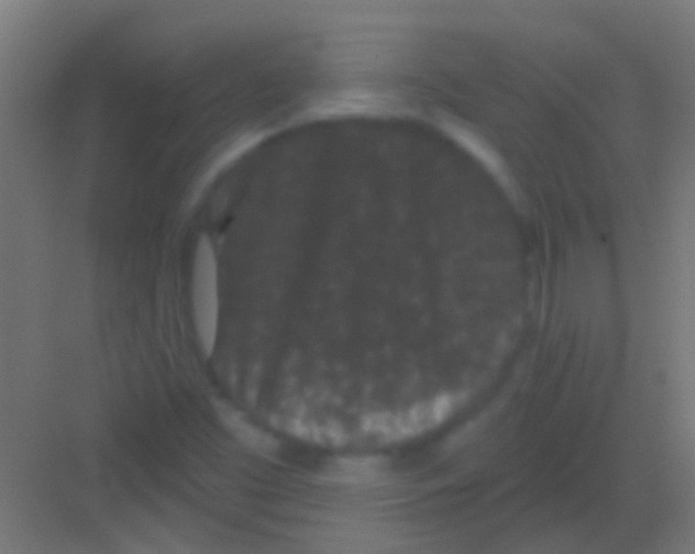 X0000081341453200702082216