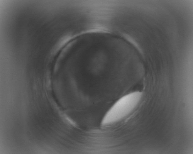 X0000081341455200702082216