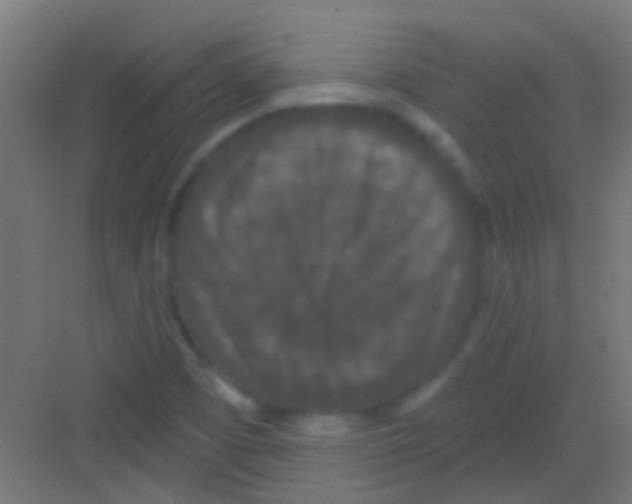 X0000081341457200702082216