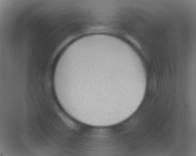 X0000081341458200702082216