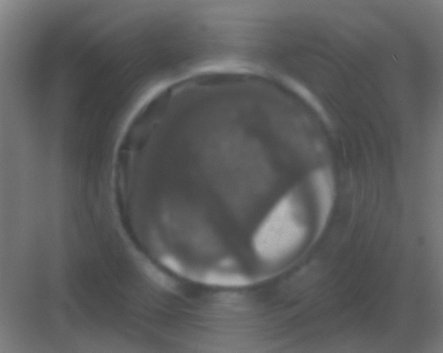 X0000081341463200702082216