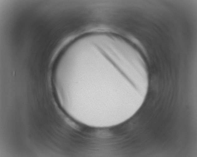 X0000081341464200702082216