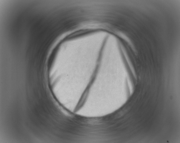 X0000081341472200702082216