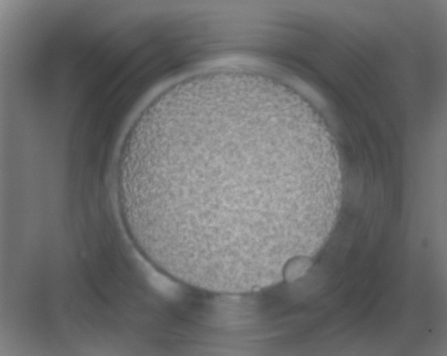 X0000081341478200702082216