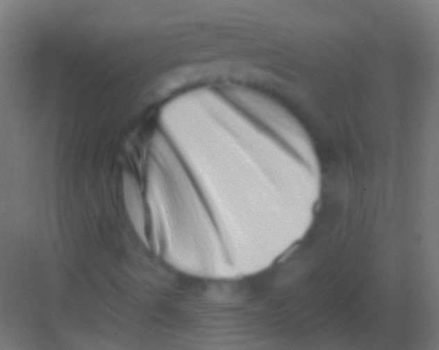 X0000081341490200702082215
