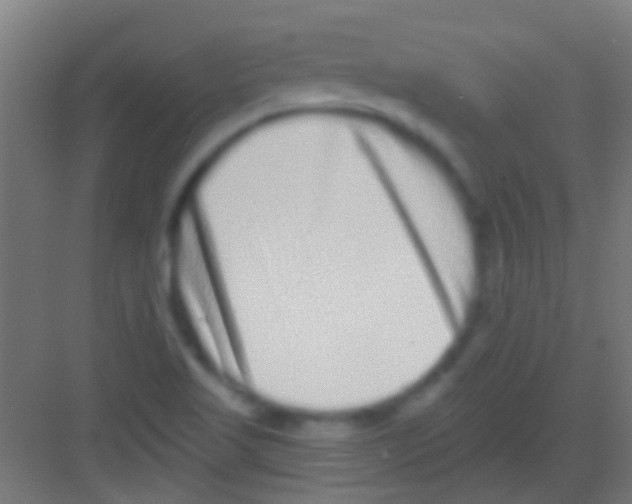 X0000081341509200702082215
