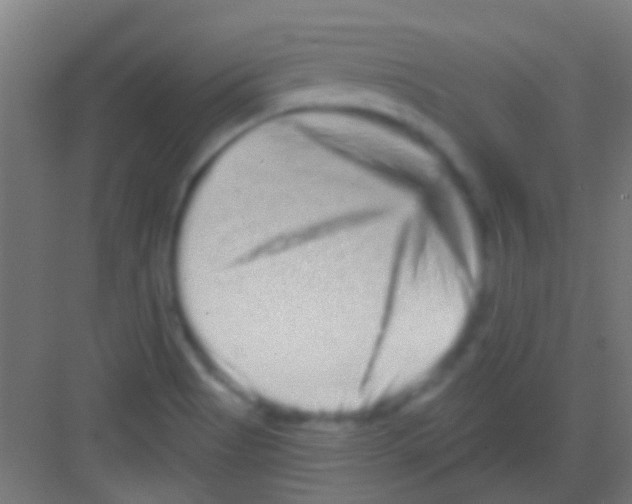 X0000081341513200702082215