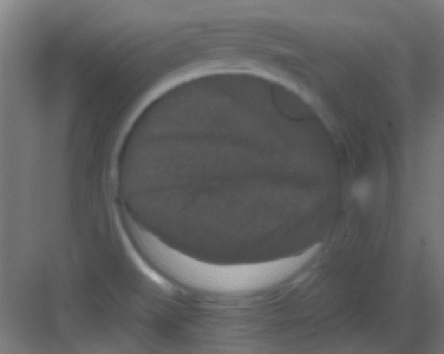 X0000081341519200702082215