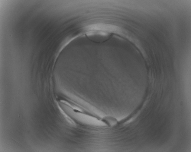 X0000081341529200702082215