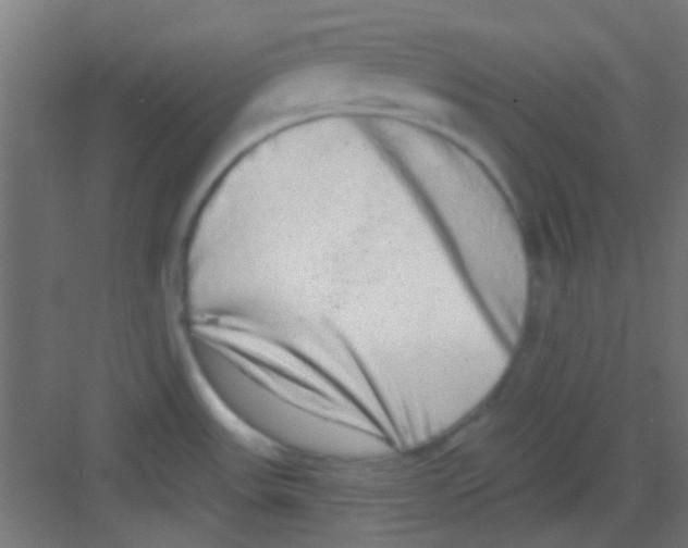 X0000081341531200702082215