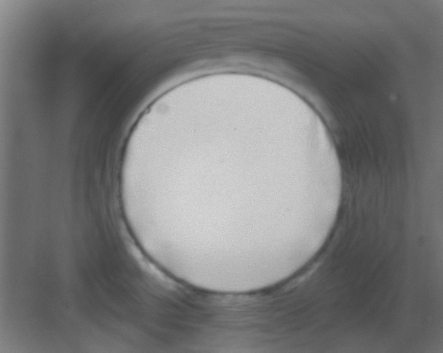 X0000081341534200702082216