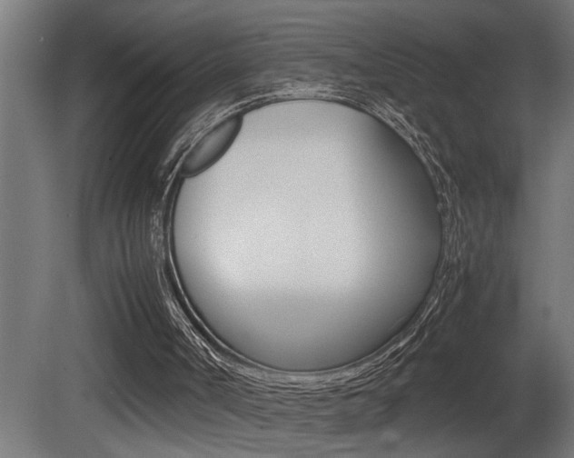 X0000081350002200701111118