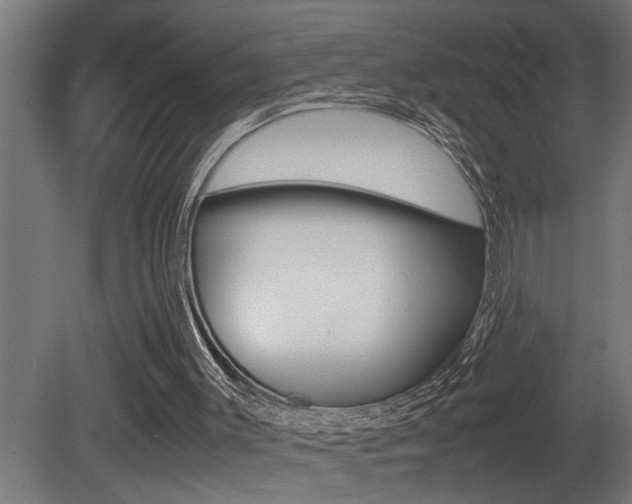 X0000081350003200701111118