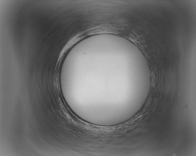 X0000081350004200701111118
