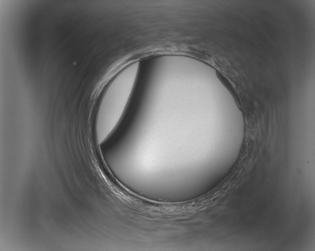 X0000081350005200701111118