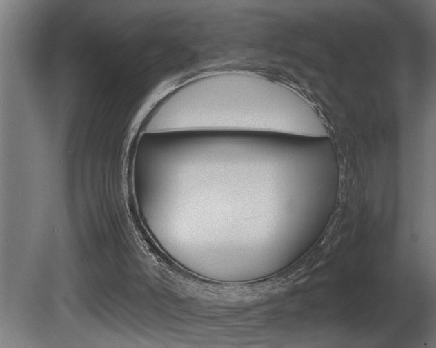 X0000081350006200701111118