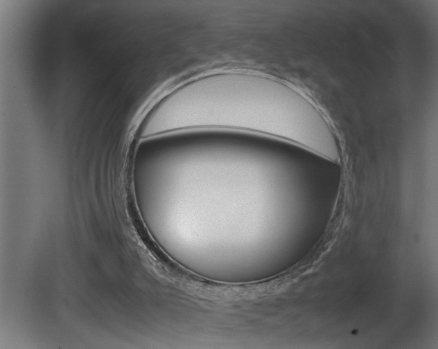 X0000081350007200701111118