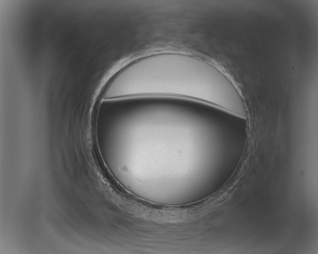X0000081350008200701111118