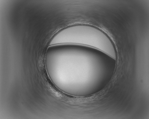X0000081350009200701111118