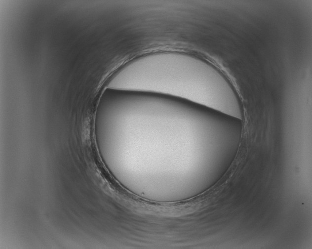 X0000081350010200701111118