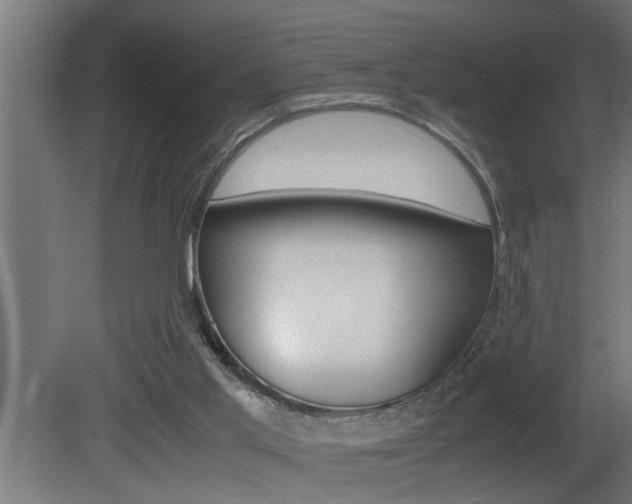 X0000081350013200701111118