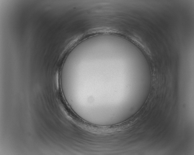 X0000081350014200701111118
