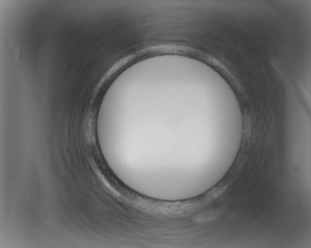 X0000081350016200701111118