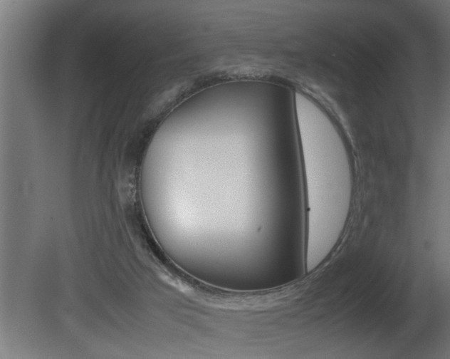 X0000081350017200701111118