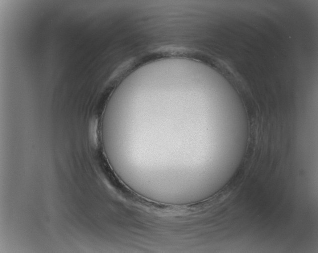 X0000081350024200701111118