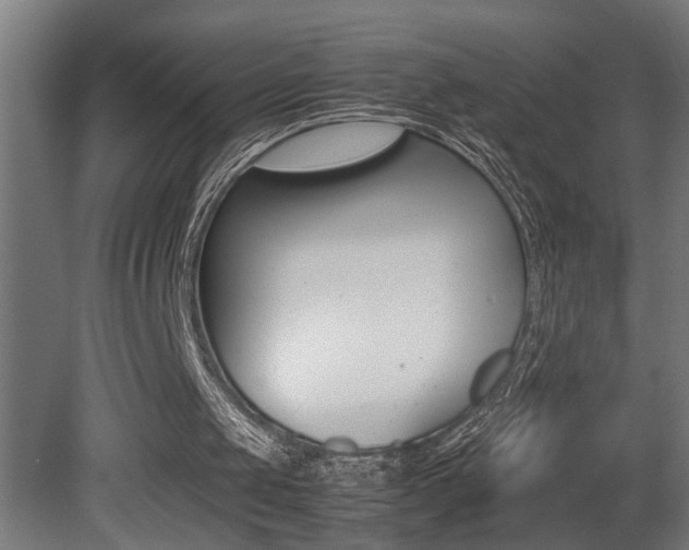 X0000081350049200701111117