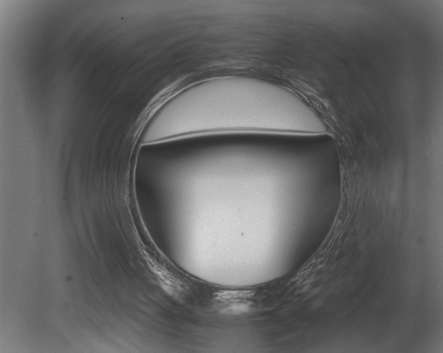 X0000081350051200701111117
