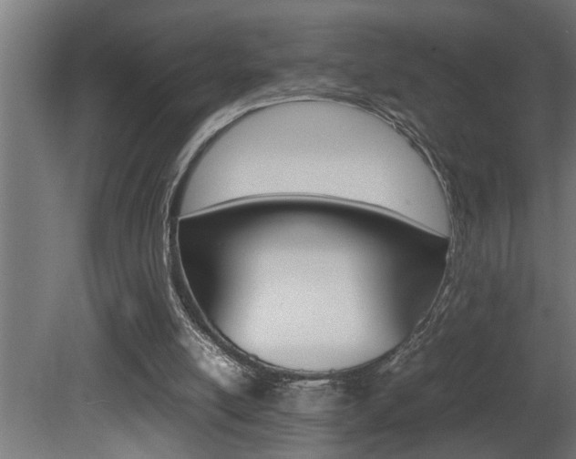 X0000081350054200701111117