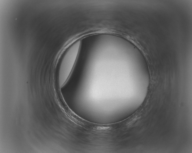 X0000081350055200701111117