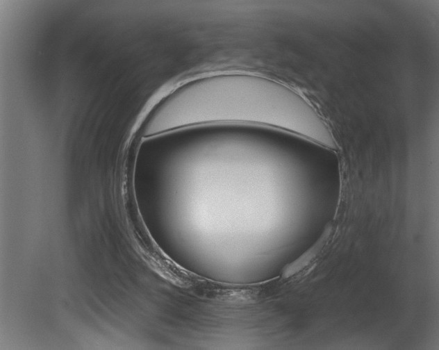 X0000081350056200701111117